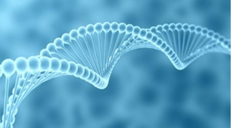 Bacterial Nanocellulose Market Insights, Forecast to 2025 Bacterial Nanocellulose