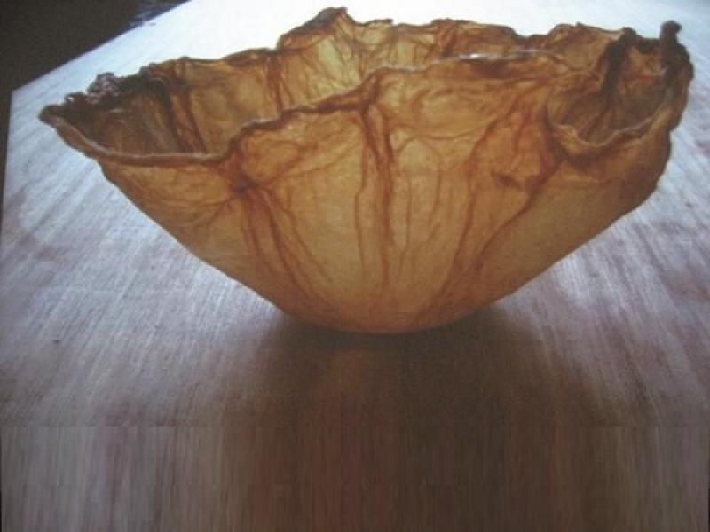 Bacterial Nanocellulose Market, Incredible Possibilities and Industry Growth 2018-2023 Bacterial Nanocellulose Market