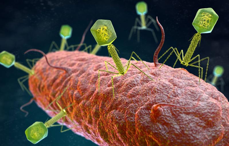 Bacteriophage Therapy Market