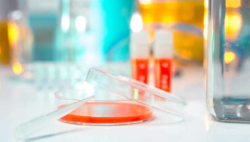 Baculovirus Expression System Market