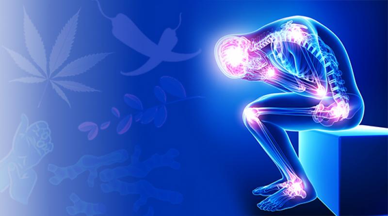 Best Pain Management Clinics in Dwarka 