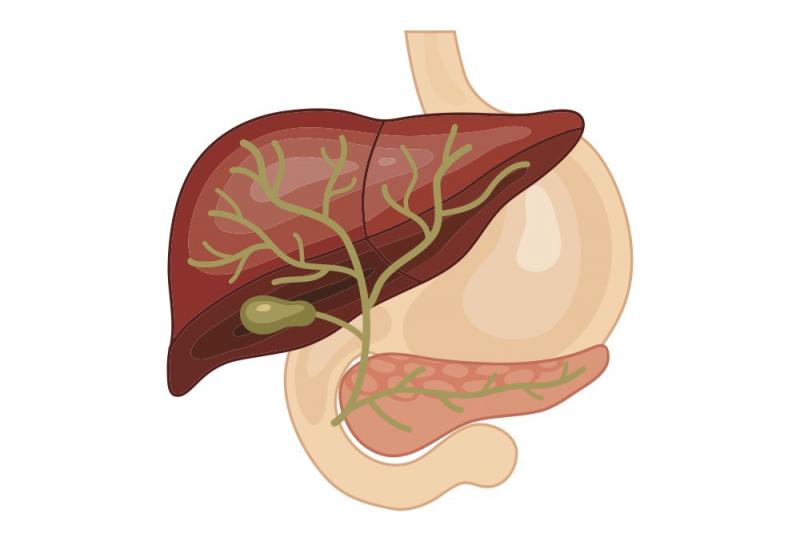 Bile Duct Cancer Market