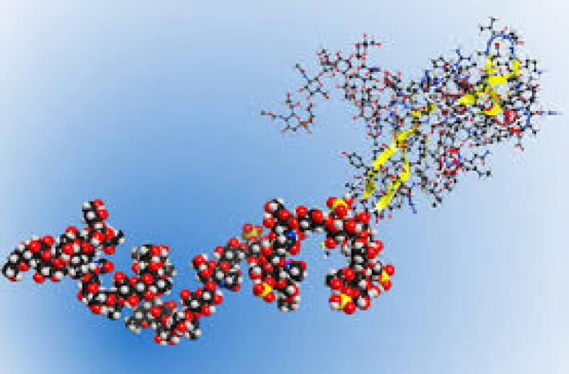 Global Bio Polymers Market