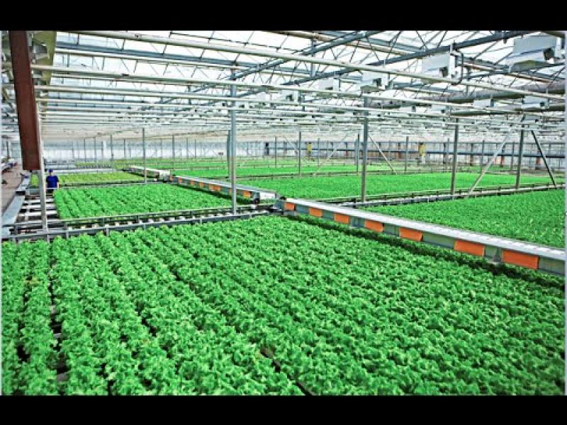 Bio Polypropylene Market Analysis to Record a CAGR of 5.1% during 2019-2025 Bio Polypropylene, Bio Polypropylene Market, Bio Polypropylene Market Growth