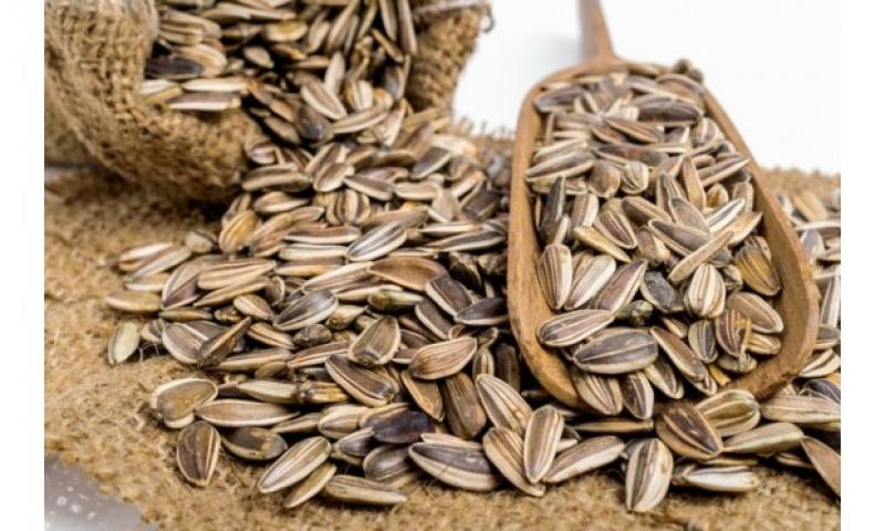 Bio Seeds Market Bio Seeds Market