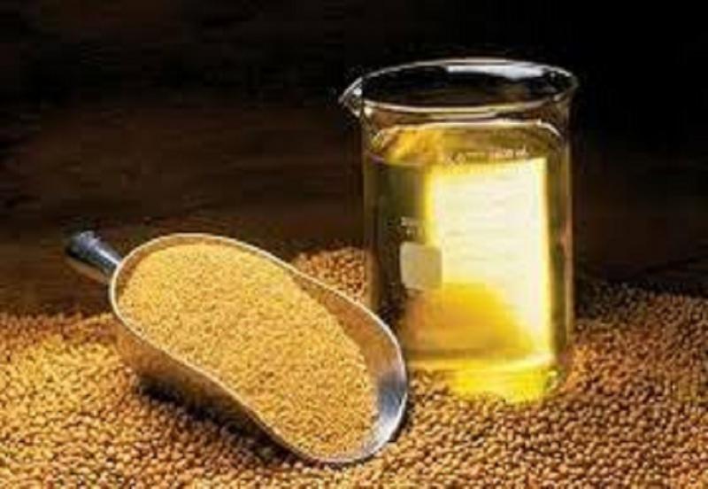 Bio-Based Adipic Acids Industry