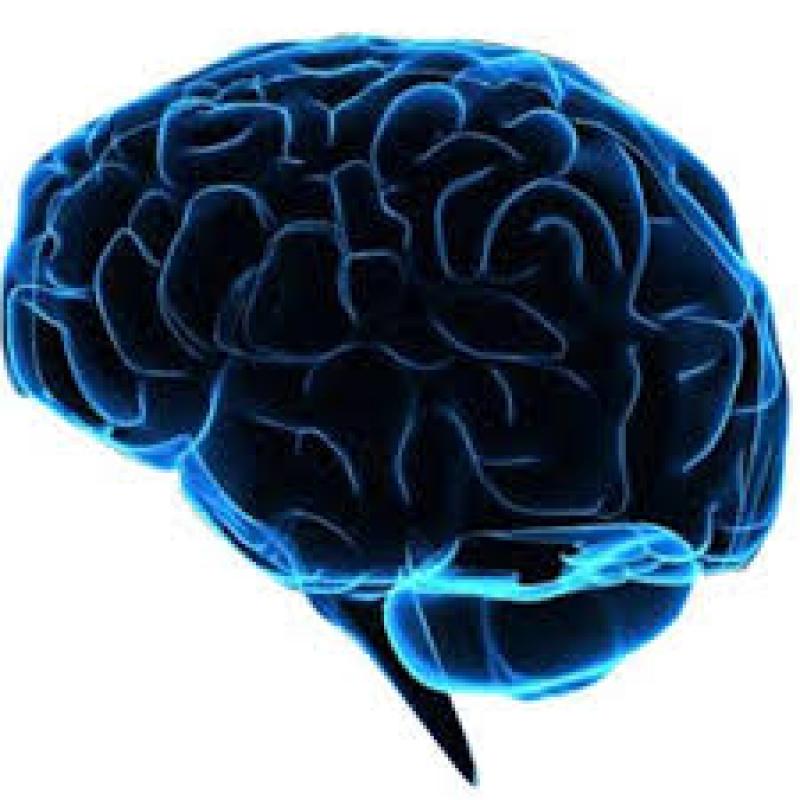  Bio-imaging Technologies