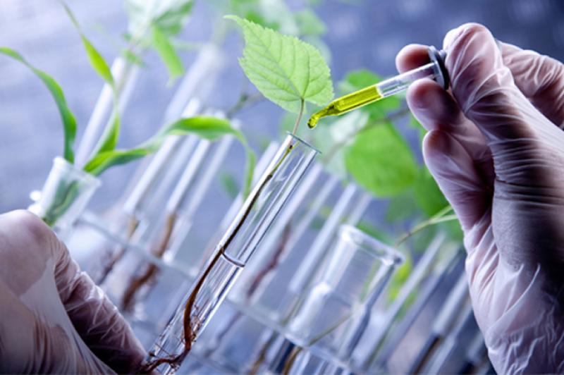 Bio-pharma Sales Market
