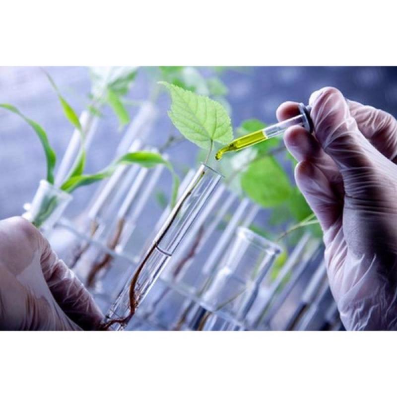 Biopolymers Industry