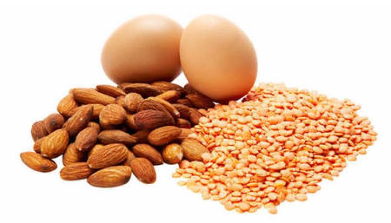 Bioactive Protein Market: Remarkable Global Growth Outlook 2018-2025 Bioactive Protein Market
