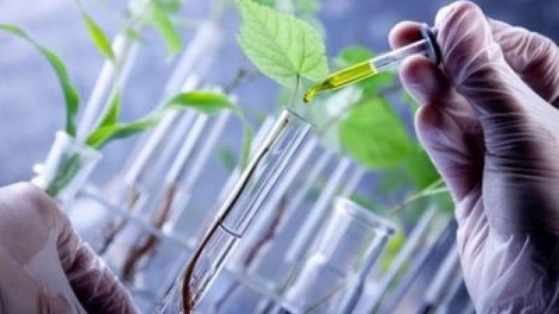 Biobased Polyethylene Terephthalate (PET)