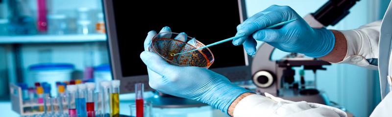 Bioburden Testing Market