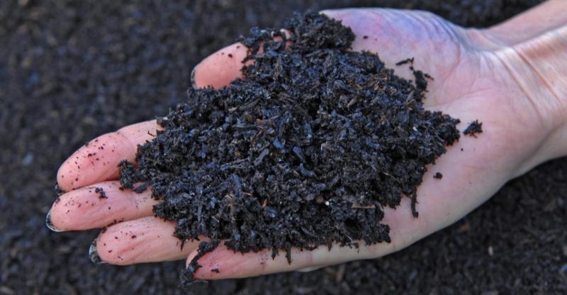 Biochar Market