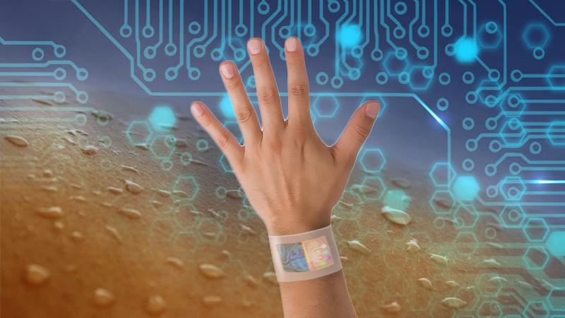 Biochemical Sensors Industry 