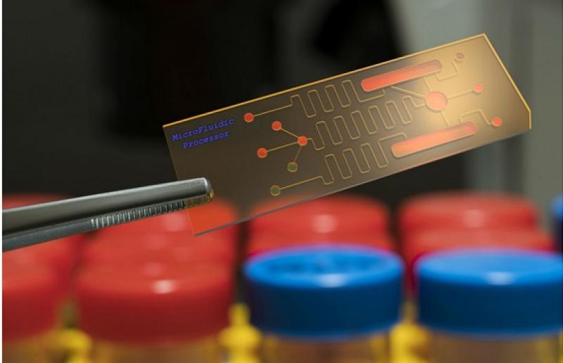 Biochip