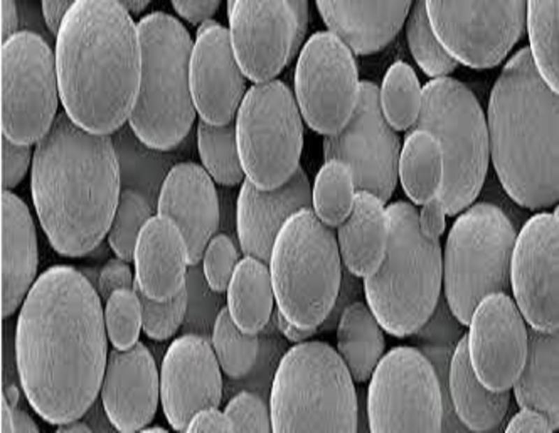 Biodegradable Microsphere