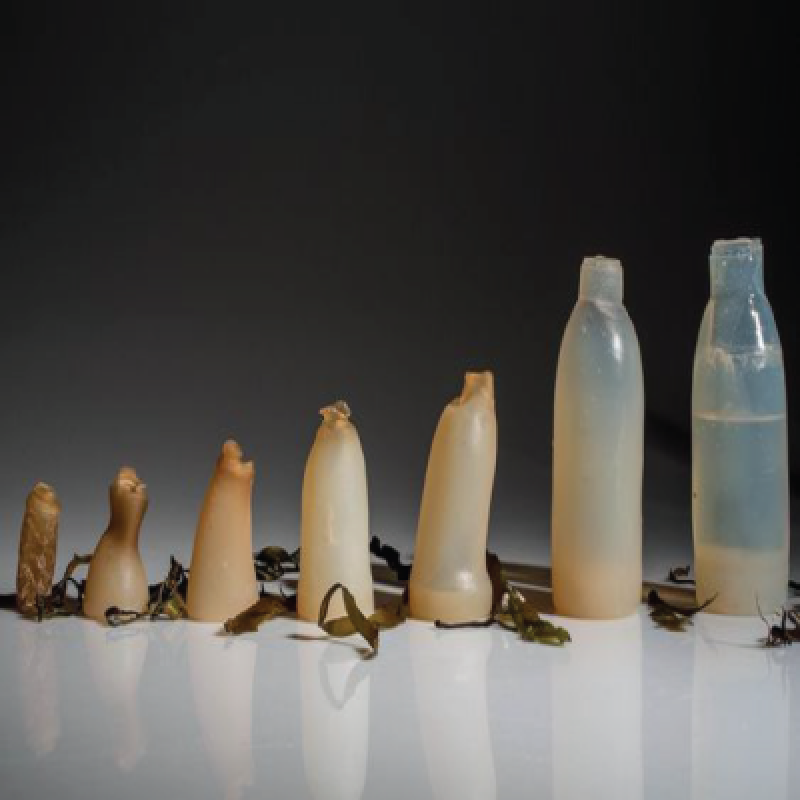 Biodegradable Plastics 