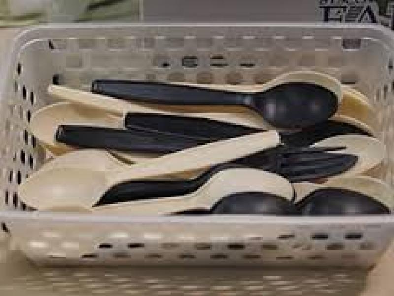 Biodegradable Polymer Market