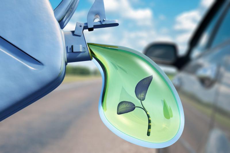 Biofuels Market