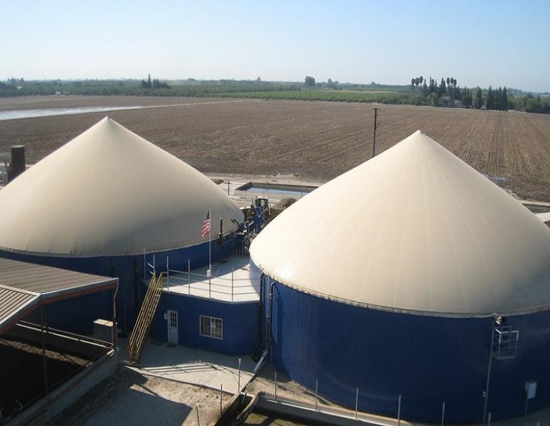  Biogas Power Plants