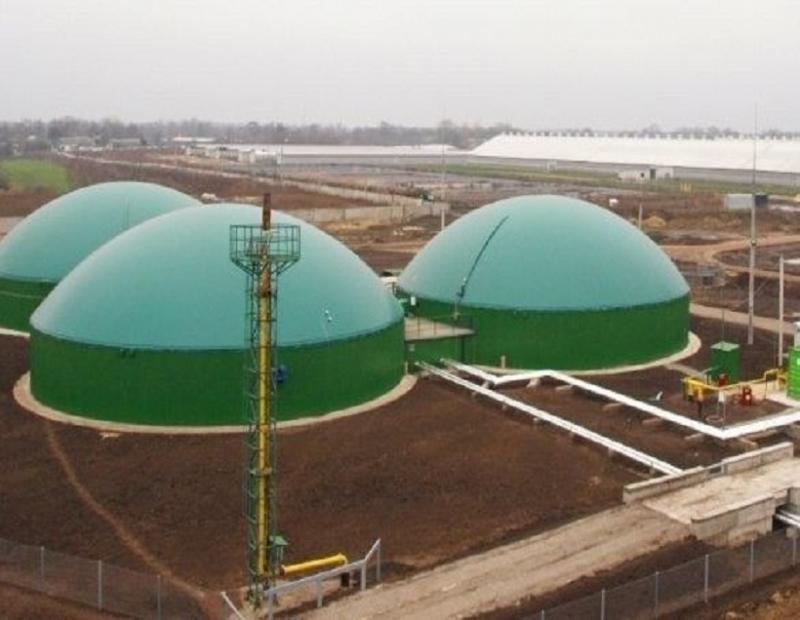 Biogas Power Plants