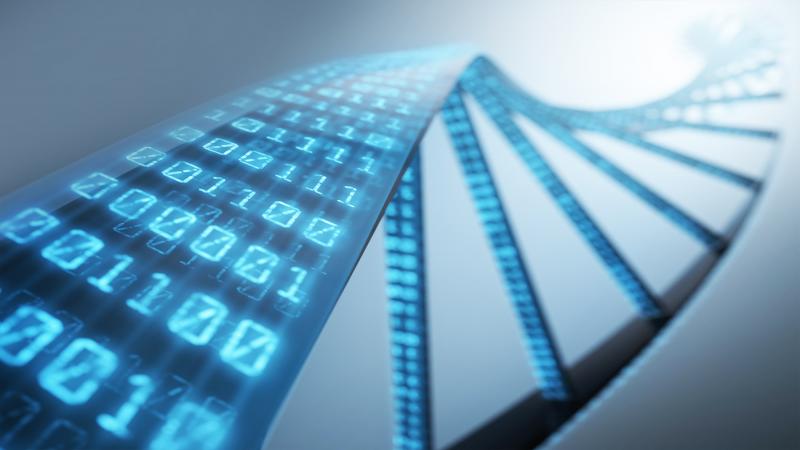 Bioinformatics Market Bioinformatics Market