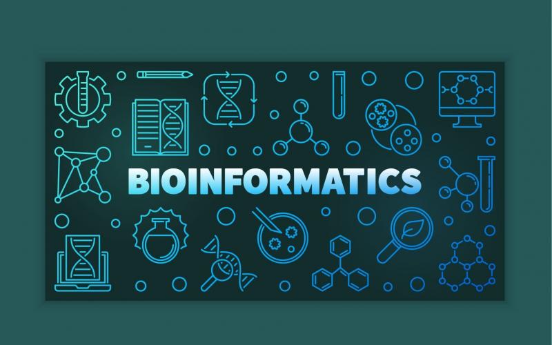 Bioinformatics Market 