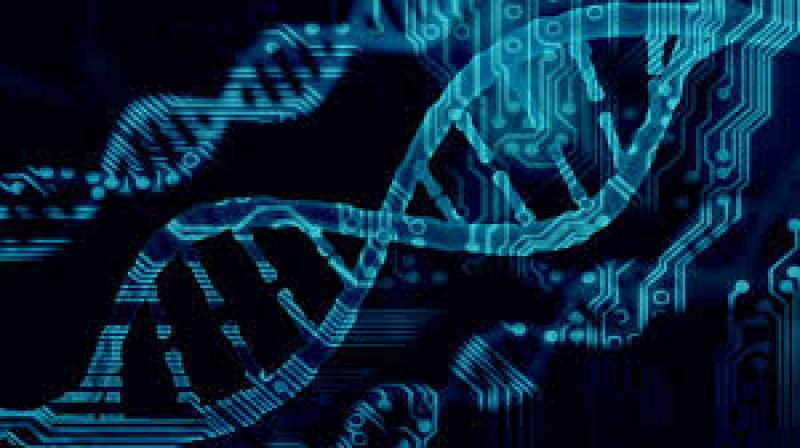 Bioinformatics Services
