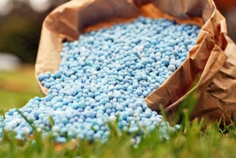 Biological Phosphorus Fertilizer Industry
