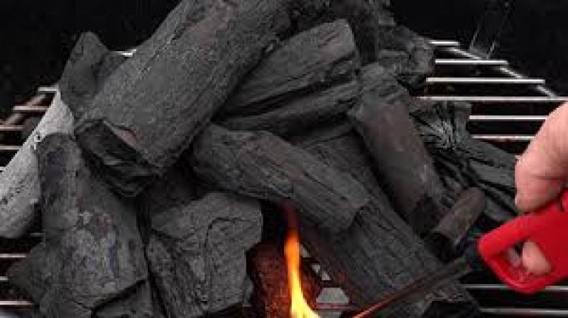 Biomass Charcoal