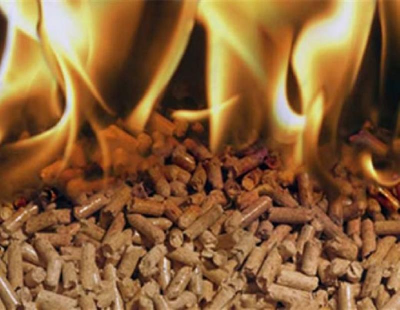 Biomass Fuel