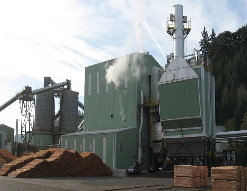 Biomass Steam Boiler 
