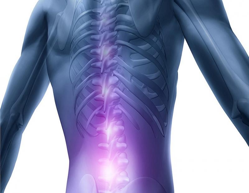 Bionic Devices, Bionic Devices Market, Bionic Devices Market Growth, bionic devices definition