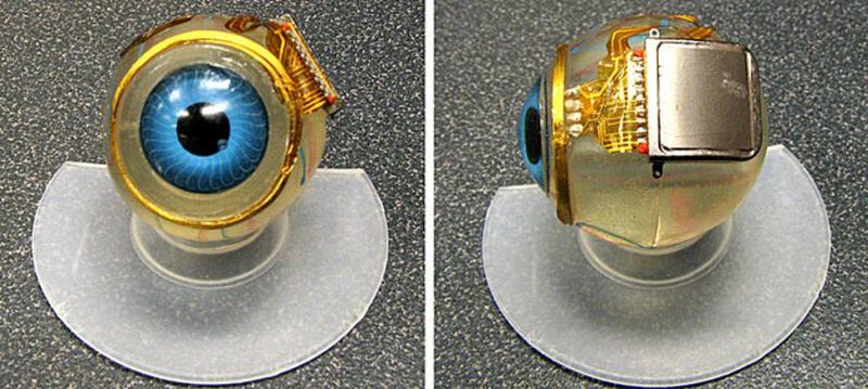 Bionic Eye Market