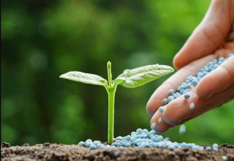 Biopesticides Market