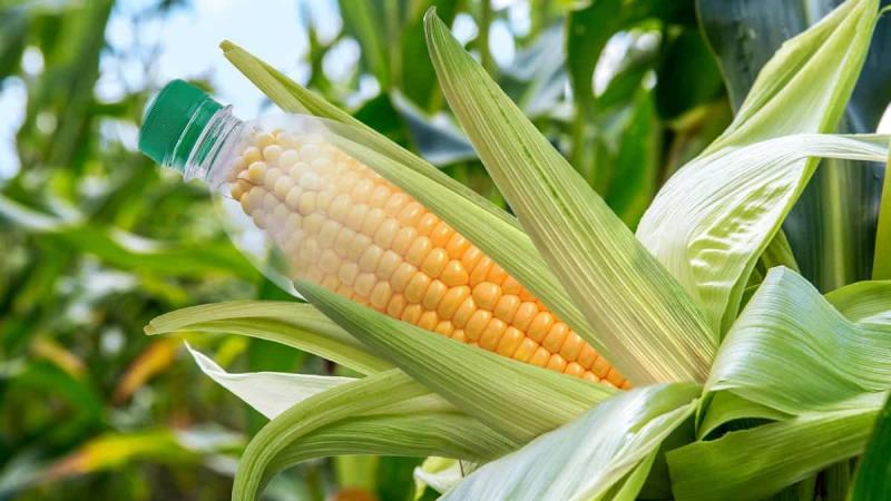 Bioplastic Composites Market