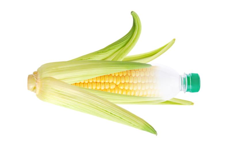 Bioplastics and Biodegradable Plastics 