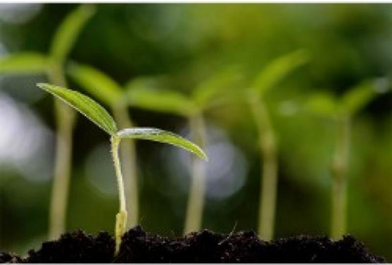 Biostimulants Market