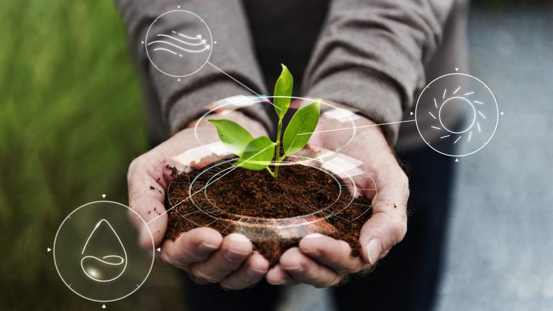 Biostimulants Market 