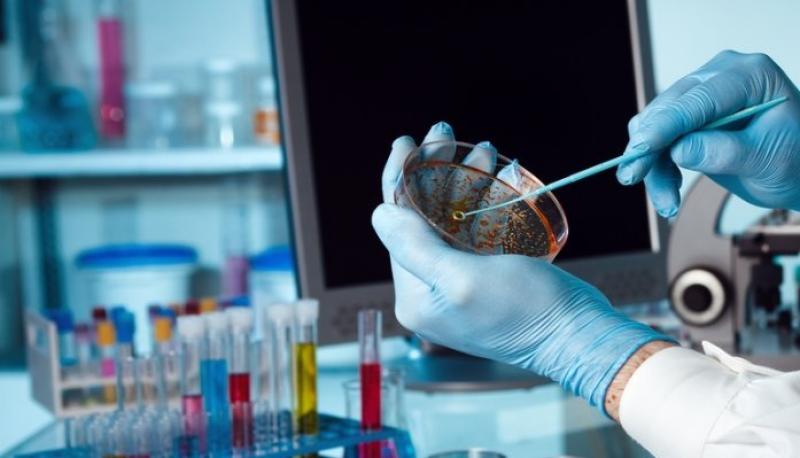 Biotechnology Reagents