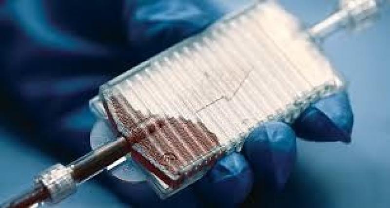 Blood Warming Device