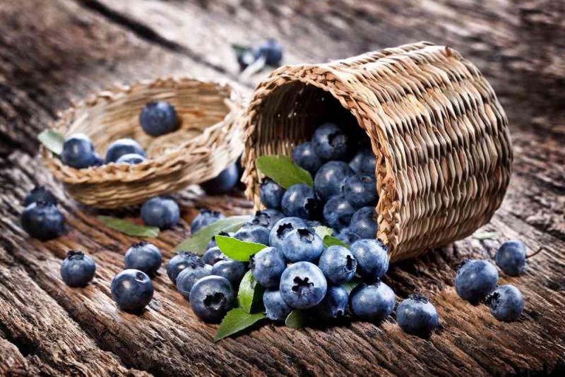 Blueberry Ingredients Market