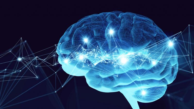 Brain Health Devices Market