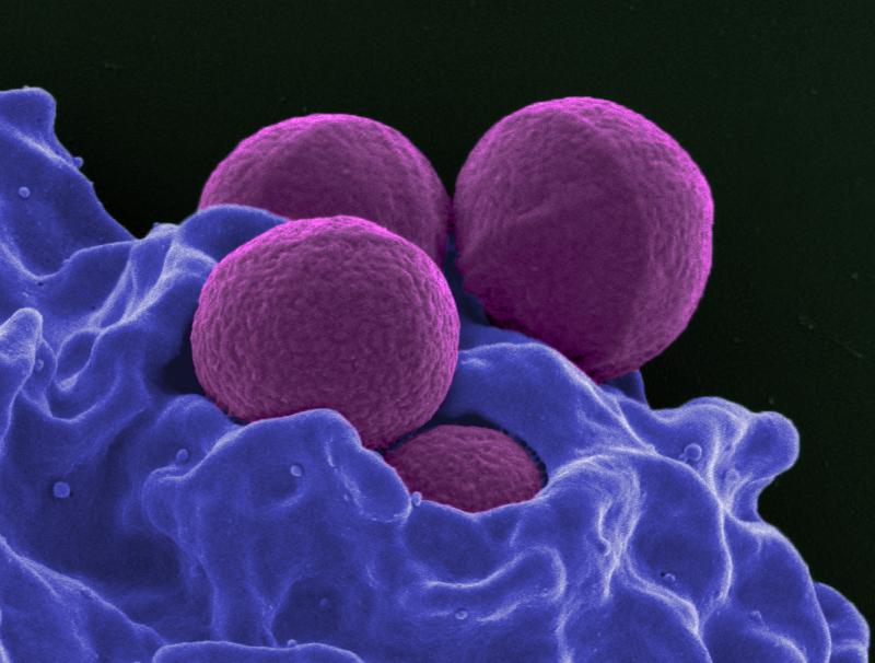 Broad Spectrum Antimicrobial Industry