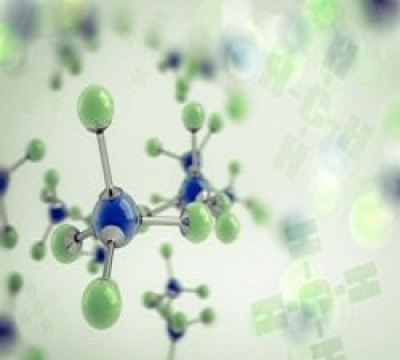 Stable Isotope Labeled Biomolecules