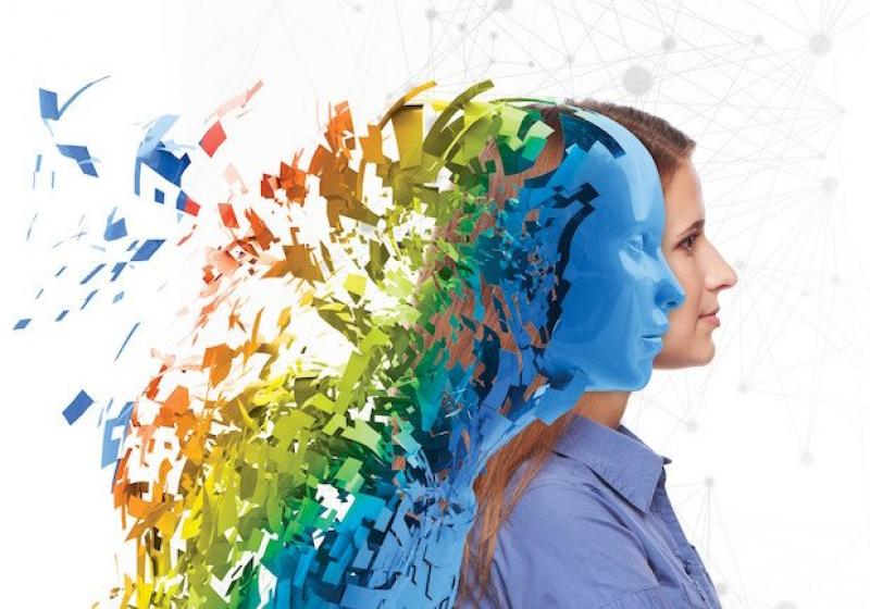 CAE Software