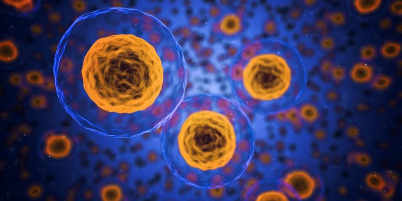 Car T Cell Therapy Market