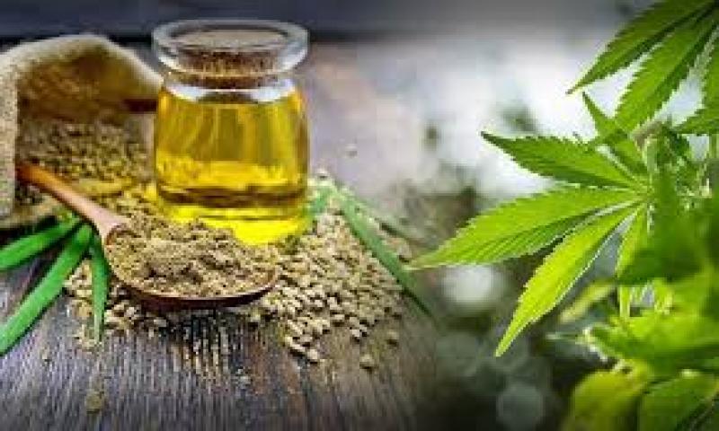 CBD Hemp Oil Market Growth