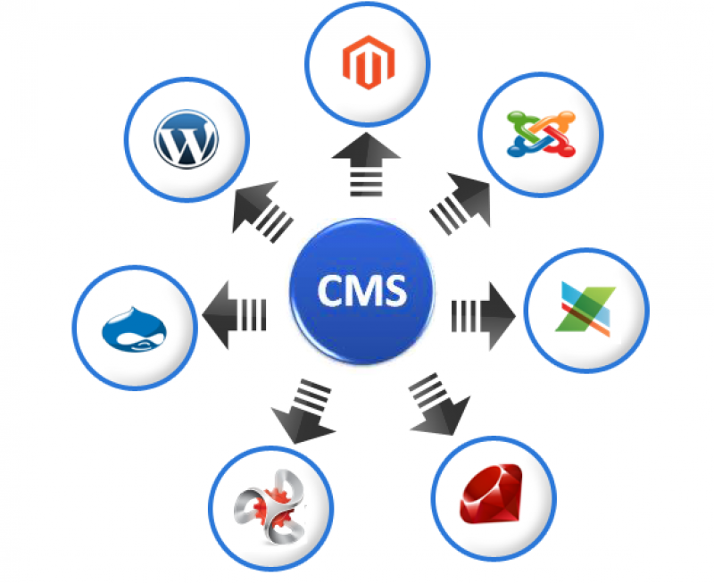 CMS Development Company