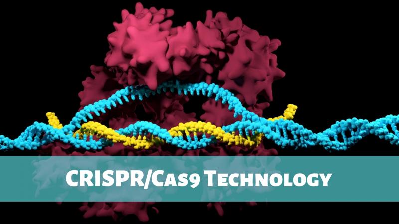 CRISPR/Cas9 Technology
